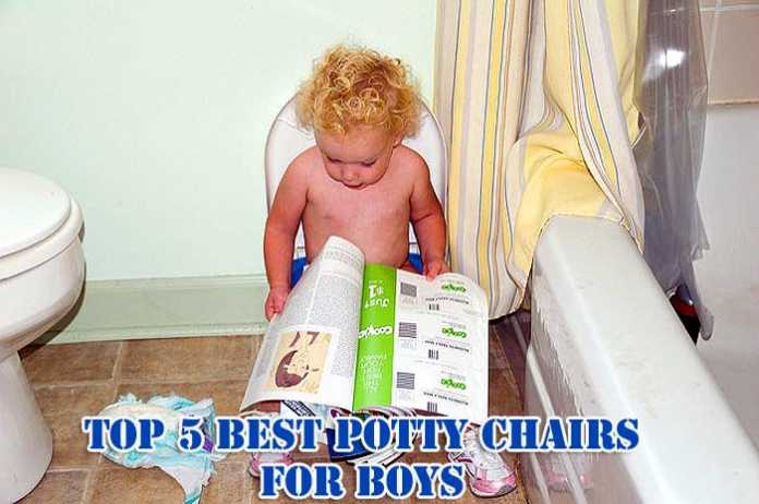 Top 5 Best Potty Chair For Boys Reviews In 2020 Diaper News