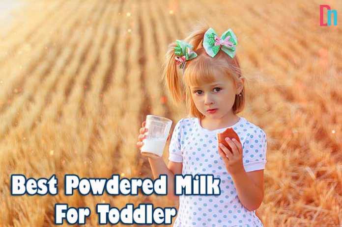 Best Powdered Milk For Toddlers