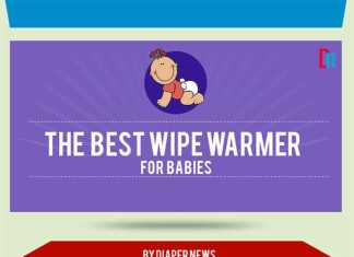 best wipe warmer for babies