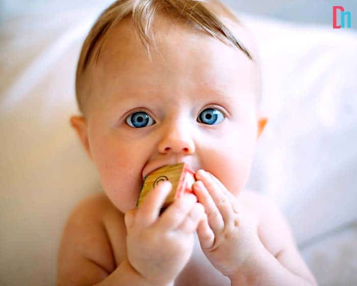 Is Powdered Milk Safe For Toddlers? Is Powdered Milk Safe For Toddlers?