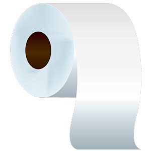 Top Toilet Paper