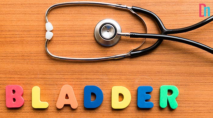 What causes bladder leaks? What causes bladder leaks?